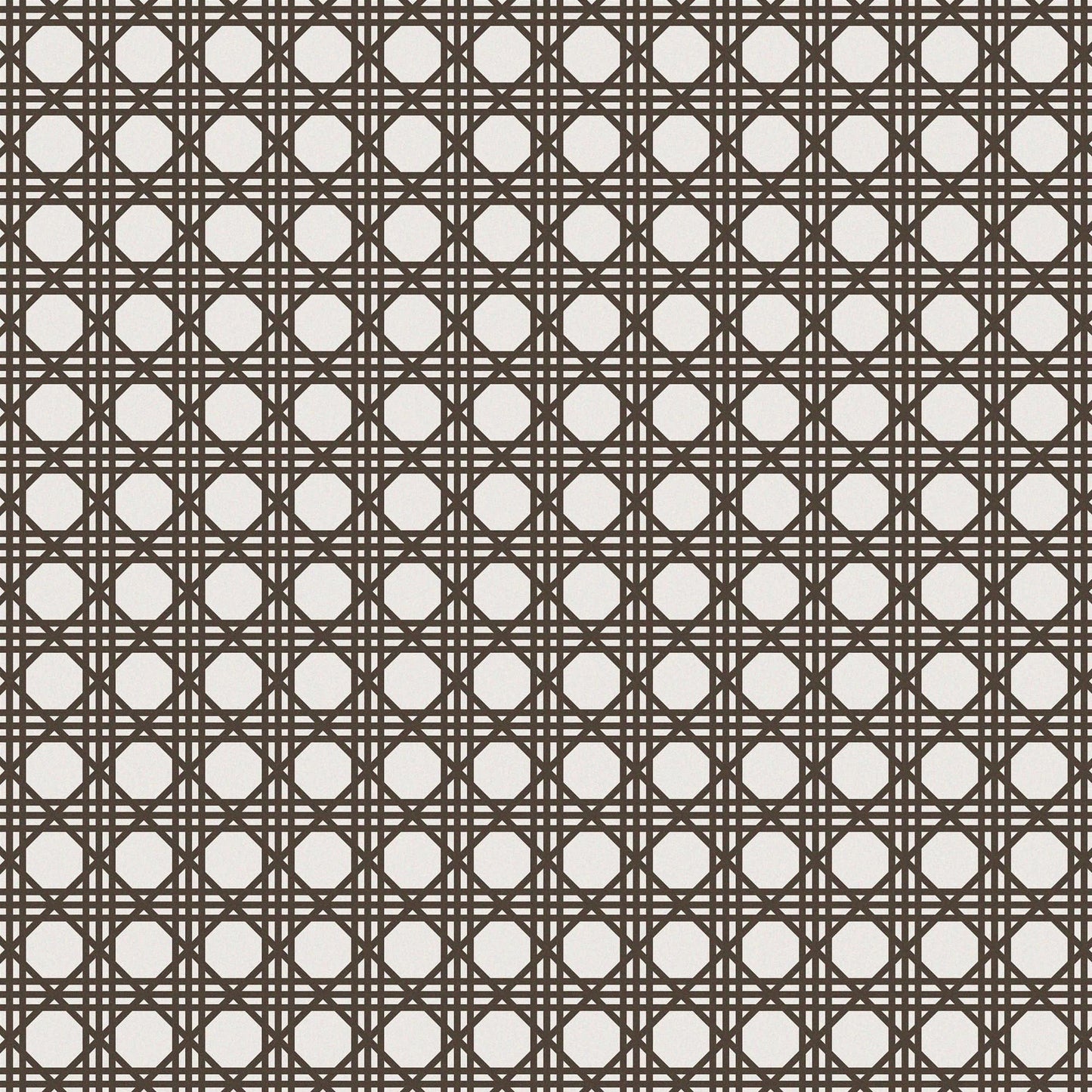 Recess Pickleball Paddle Brooklyn