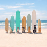 Recess Pickleball Paddle Surf's Up Pups | Gray Malin