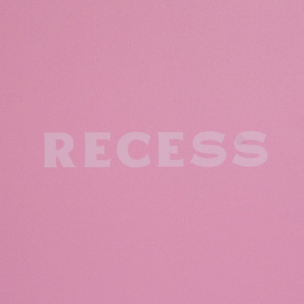 Recess Pickleball Advanced Pink Paddle