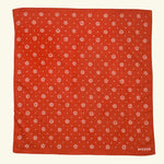 Recess Pickleball Paddle Americana Paddle + Bandana