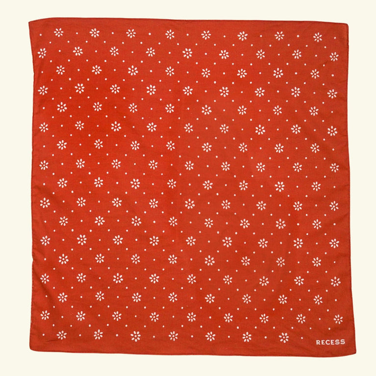 Recess Pickleball Paddle Americana Paddle + Bandana